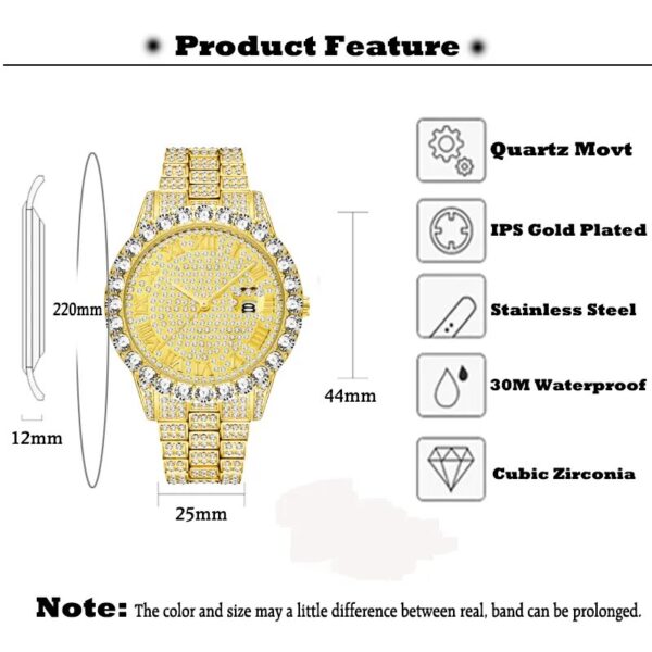 Iced Roman Numerals Watch - features