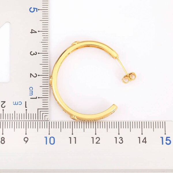 Micro Inlaid Shiny Crystal Zircon Circle Hoop Earrings Women Jewelry (2)